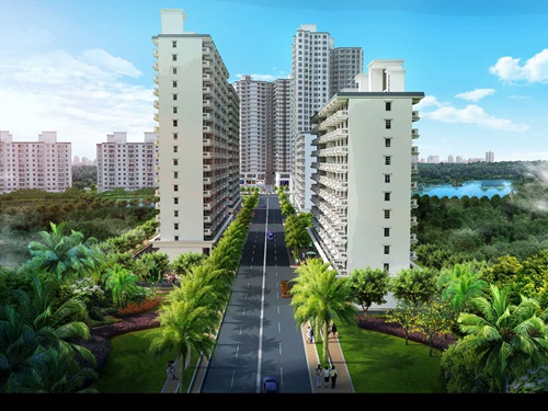 长兴2025生纸优势分析！
